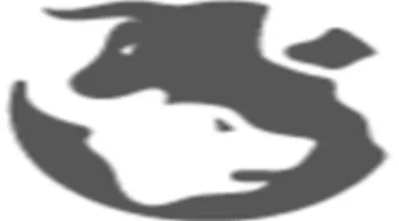 أسعار السمك في مصر تتراجع أو ترتفع اليوم 16-10-2025: أبرز التحولات وتأثيرها على المستهلكين